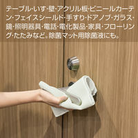 テラモト 除菌洗浄液 4kg SW9821140 1箱(4本入)