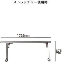 常磐精工 サポートキャリーストレッチャー SPC-TANKA 1台（直送品）