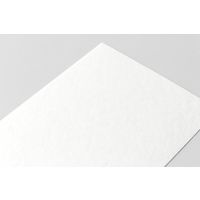 デザインフィル はがき パルパー 20枚入 白 88150006 1セット(1パック×2)