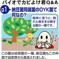 コモライフ バイオでカビよけ君 シンク下用 67906 1セット(2個)