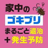 おすだけアースレッド 無煙プッシュ 120プッシュ ゴキブリ 駆除剤 1ヵ月 発生予防 殺虫剤 スプレー 対策 1本 アース製薬