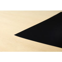 欧文印刷 消せる紙 ブラック A3 ブラックボード PNCGSA3B04 1冊（4枚入）