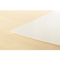 欧文印刷 消せる紙 A1 白地 ホワイトボード MNCGSA1W05 1冊（5枚入）