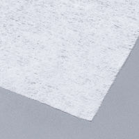 除菌ウェットティッシュ　約150×200mm　1パック（10枚×2袋入）　除菌クロス　アルコールタイプ　昭和紙工