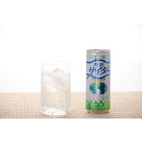 創健社 丹沢サイダー 250ml 90303 1セット(250ml×30)（直送品）