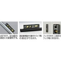 エビス ソリッドレベル100mm ED-10SOL 1台（直送品）