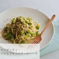 日仏貿易 【アルチェネロ】有機スパゲッティ 500g【オーガニック】 C5-03A 12個（直送品）