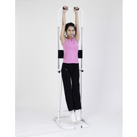 アルインコ ＜アルインコ＞ぶら下がり健康器スペシャルセット2 a24366 1個（直送品）