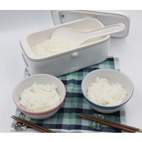 カイホウジャパン コンパクトサイズマイコン式早炊き炊飯器 ホワイト a2452610 1個（直送品）