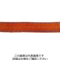 インカ 玉掛け作業用ベルト インカリフティングスリング G4 50mm×5m JIS4Eー50×5m JIS4E-50x5m 1本（直送品）