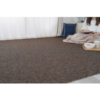 スミノエ オーダーカーペット ホームシェル オーダーラグ 650×600mm ブラウン AS-HSL-BR6560 1枚（直送品）