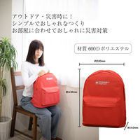 防災セット 1人用 スカイグレー 20L エマージェンシーリュック おしゃれ 非常用持ち出し袋 防災士監修 防災リュック 警戒レベル3（直送品）