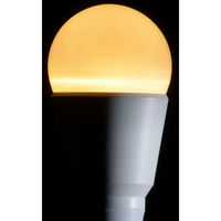 オーム電機 LED電球 ミニクリプトン形 E17 25形相当 調光器対応 防雨タイプ 電球色 06-1875 1個