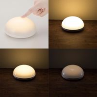 オーム電機 LEDプッシュランプ 06-5081 1台