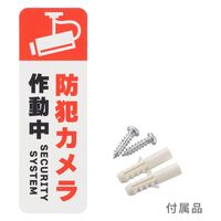 オーム電機 monban ダミーカメラ 常時点滅タイプ 07-8695 1台