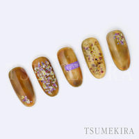 TSUMEKIRA(ツメキラ) ネイルシール TSUKIプロデュースPetalpurple NN-TSU-005 1セット(3枚)（直送品）