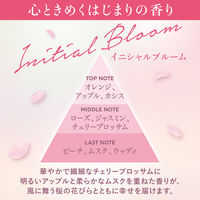 お部屋の消臭力 プレミアムアロマ スティック 部屋用 イニシャルブルーム 本体 65mL 1個 芳香剤 エステー