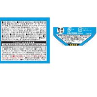 ブタメン タン塩味ラーメン 35g（めん28g） 1セット（1食×30） おやつカンパニー 駄菓子