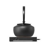 バルミューダ MoonKettle KPT02JP-BK 1台