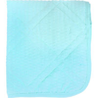 【並行輸入品】iiもの本舗 吸水速乾 枕パッド ライトグリーン 約40×47cm 1袋（1枚入）