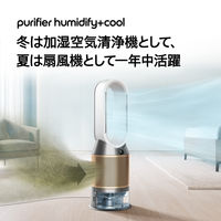 ダイソン Purifier Humidify+Cool PH2 DeーNox PH05WG 1台