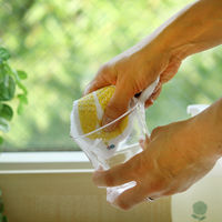 （100%天然素材）ポップアップスポンジ 水でふくらむ キッチンスポンジ カタカタ かもめ 1個 イーオクト