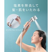 SALONIA（サロニア) 塩素除去 クリアケアカートリッジ シャワーヘッド I-ne