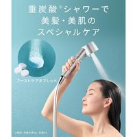 SALONIA（サロニア） ブーストケアタブレット（ビューティー） 12錠 重炭酸 炭酸美容 I-ne