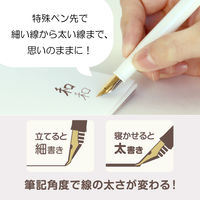 セーラー万年筆 ふでDEまんねん 万年筆 細字～太字 紺 12-0150-040 1セット（1本×5）