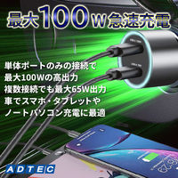 シガーソケット最大100W / Type-C Type-A x1 ACPD-V100AC 1個