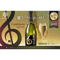 イタリア カンティアーモ スプマンテ ブリュット 白 辛口 スパークリングワイン 750ml 1本 メルシャン