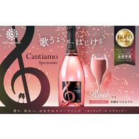 イタリア カンティアーモ スプマンテ ロゼ やや辛口 スパークリングワイン 750ml 1本 メルシャン