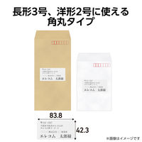 ラベルシール 表示・宛名ラベル プリンタ兼用 12面 A4  角丸 22シート エレコム EDT-ECNLR12AS22 1個（直送品）