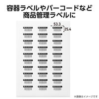 ラベルシール 表示・宛名ラベル プリンタ兼用 30面 A4  角丸 50シート エレコム EDT-ECNLR30S50 1個（直送品）