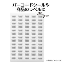 ラベルシール 表示・宛名ラベル プリンタ兼用 65面 A4  角丸 22シート エレコム EDT-ECNLR65S22 1個（直送品）