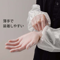 検査・検診用プラスチックグローブ（PVC・クリア）Lサイズ パウダーフリー　3箱（300枚入）【フィフティ・ヴィジョナリー】（直送品）