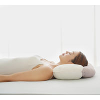 ファミリー・ライフ 快眠五つ星まくら a33665 1個（直送品）