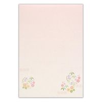 エヌビー社 DN B5便箋 吉祥文様 3000202 1セット(1個(6柄アソート30枚入)×10)（直送品）