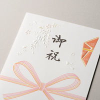 エヌビー社 絹重のし袋 御祝 4429103 1セット(1パック(3枚入)×10)（直送品）