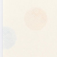 エヌビー社 封筒 佳乃 虹鞠のふみ 5291201 1セット(1個(6枚入)×10)（直送品）