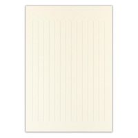 エヌビー社 伝えるきもちB5便箋 縦罫 5300201 1セット(1個(2色アソート30枚入)×10)（直送品）