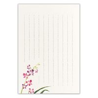 エヌビー社 伝えるきもちB5便箋 デンファレ 5300204 1セット(1個(2色アソート18枚入)×10)（直送品）