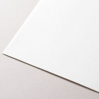 エヌビー社 高級封筒 手紙ってうれしんだよね 5601202 1セット(1個(5枚入)×20)（直送品）