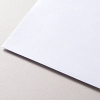 エヌビー社 ライティングパッド封筒 洋封筒 55169 1セット(1個(8枚入)×20)（直送品）