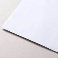 エヌビー社 ライティングパッド封筒 和封筒 55012 1セット(1個(8枚入)×20)（直送品）