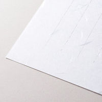 エヌビー社 和紙B5便箋 大礼紙 51510 1セット(1個(25枚入)×10)（直送品）