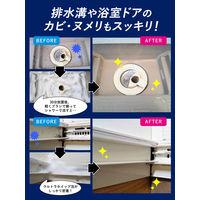 クリーンプラネット お風呂場のカビ丸洗浄 ウルトラホイップスプレー 400mL 1個 Blessing