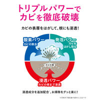 クリーンプラネット 風呂釜のカビ丸洗浄 1個 Blessing