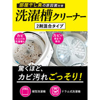 クリーンプラネット 洗濯槽のカビ丸洗浄 1個 Blessing