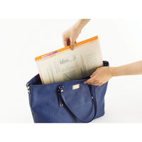 ライオン事務器 ホルダーファイル〈ビジカル〉 A4E PH-12B イエロー(黄色) 13762 1冊